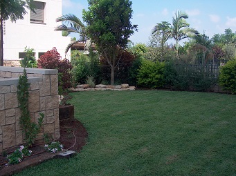 מבט כללי בגינה על חניון